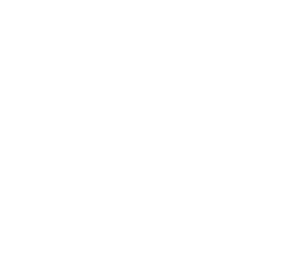 BLUEMAN GROUP JAPAN TOUR